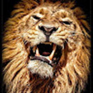 Meet your Posher, Mackcus